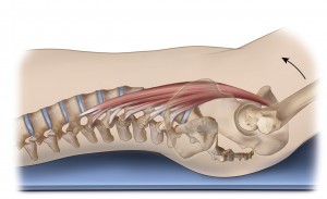 psoas laying down